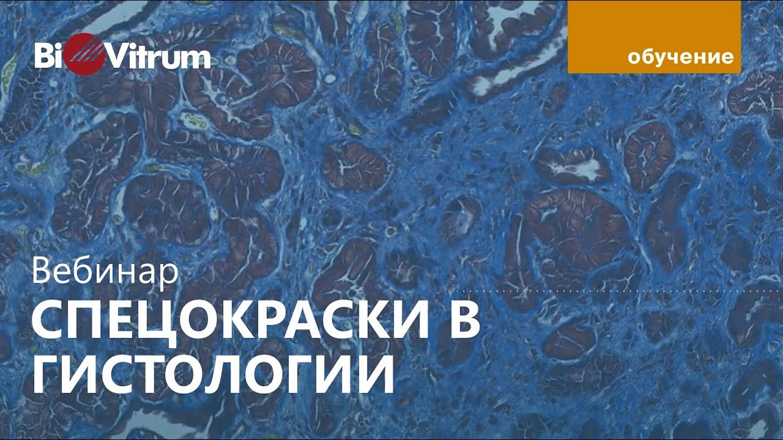 Специальные методы окраски в гистологии
