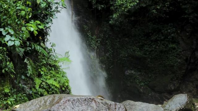 Relaxing Music & Waterfall for Stress Relief, Spa, Meditation, Study смотреть онлайн