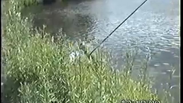 Лебедянь Рыбалка с Волотово смотреть онлайн