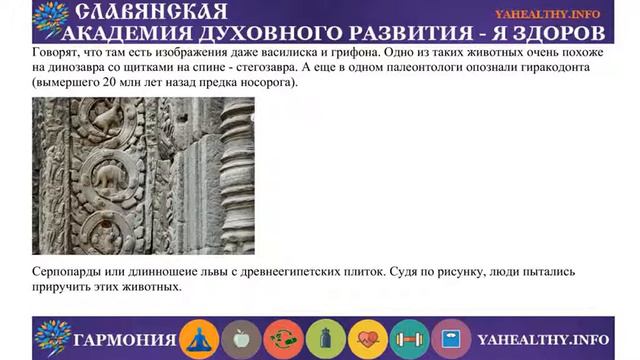 Древние изображения динозавров и людей смотреть онлайн