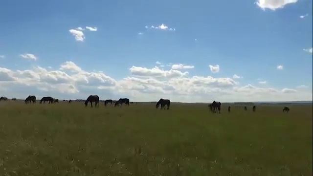 Урал-Тау смотреть онлайн
