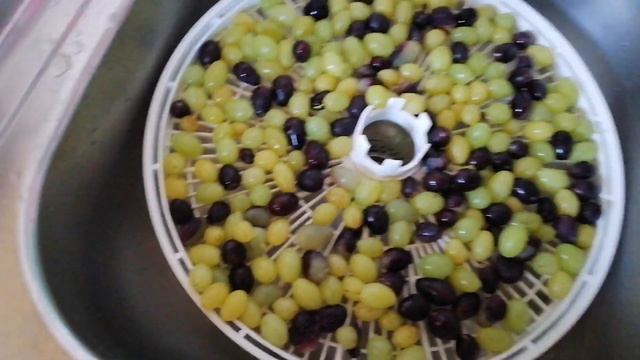 Домашний изюм