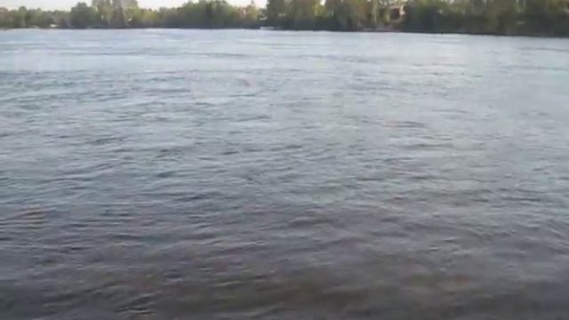 10 09 25 neva nuts 1 смотреть онлайн
