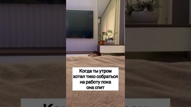 Ты тихо собираешься на работу пока она спит)) смотреть онлайн