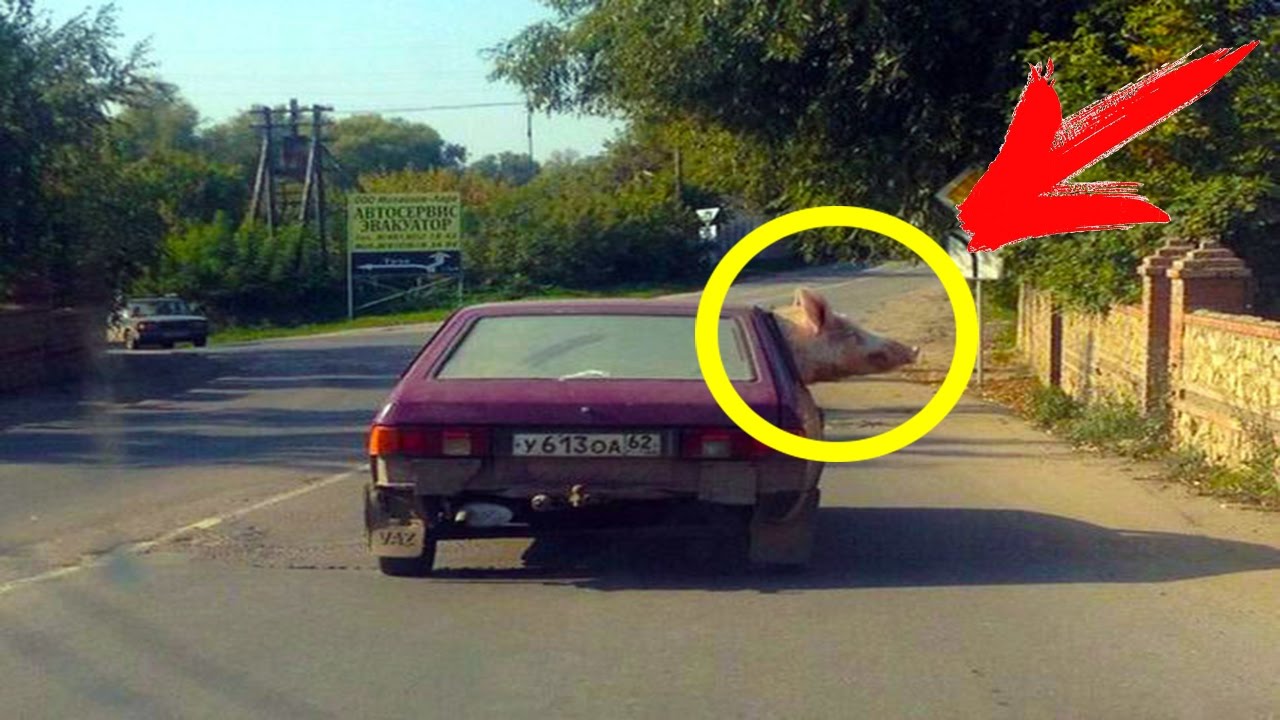 Умом Россию не понять / Это Россия / Чисто приколы / Засмеялся - Подписался / #1 смотреть онлайн