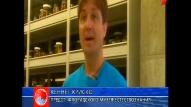 большой питон 14 8 2012 смотреть онлайн