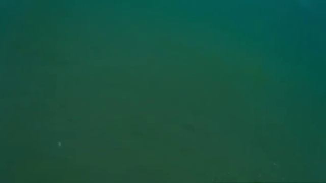 Купание с красотками в Черном море смотреть онлайн