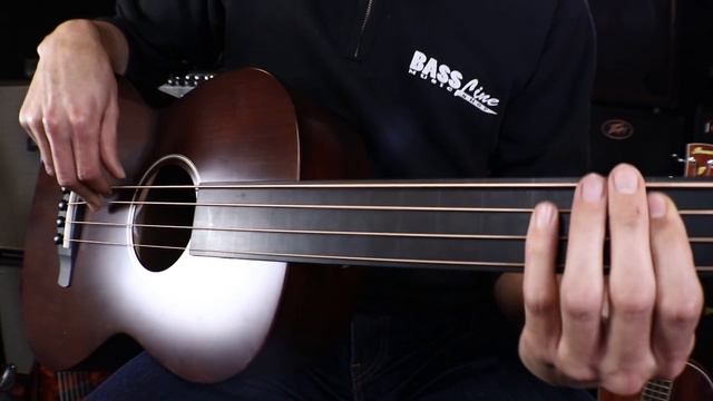 Ibanez AVNB1FE-BV Bass - Demo Review (ITA) Namm 2018 смотреть онлайн