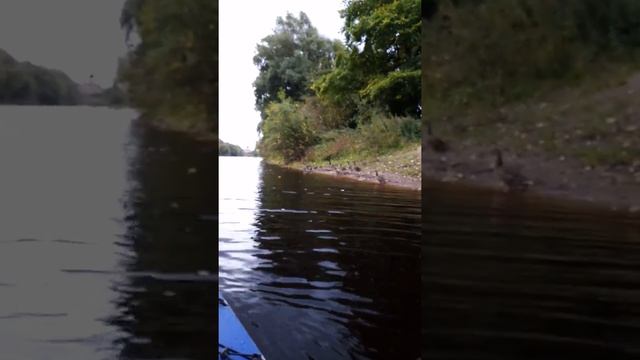 Байдарка ,,ИЛЕКСА,, по реке Полисть.. смотреть онлайн