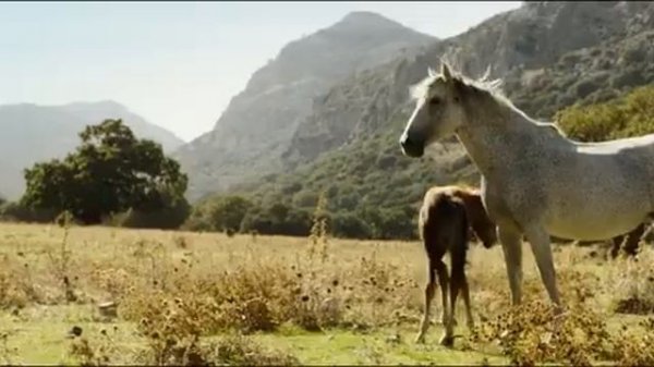 Оствинд 3. Восточный ветер 3.