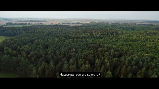 В лесу всегда найдется работа. Приглашаем стать частью нашей команды 💚 смотреть онлайн