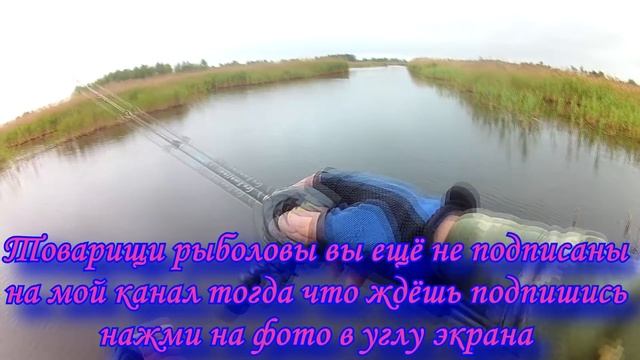Ловля Щуки открытие сезона 2018 Состоялась смотреть онлайн