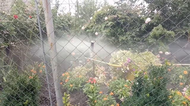 бутылочный полив(1)