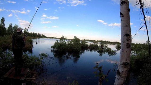 Рыбалка Карась Второво 26 05 21 смотреть онлайн