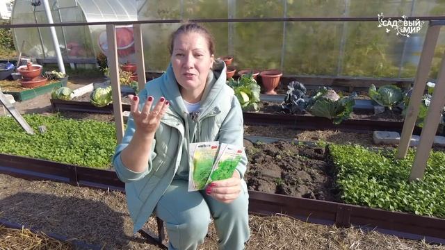 Салаты с Мятой