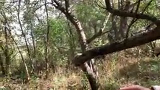 Отвели детей в школу. Отметили Д.Р. Андрея. Съездили в деревню. Накопали картошки. 1-4 сентября.202 смотреть онлайн