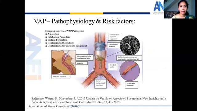 Critical Care Nursing Series I смотреть онлайн