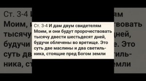 Пророчество Библии о Женщине-Спасительнице Мира и Мужчине.#дама #вестник #матьмира #мессия #царица