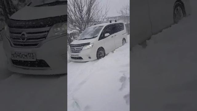 снег в Краснодаре 17.01.2021 смотреть онлайн