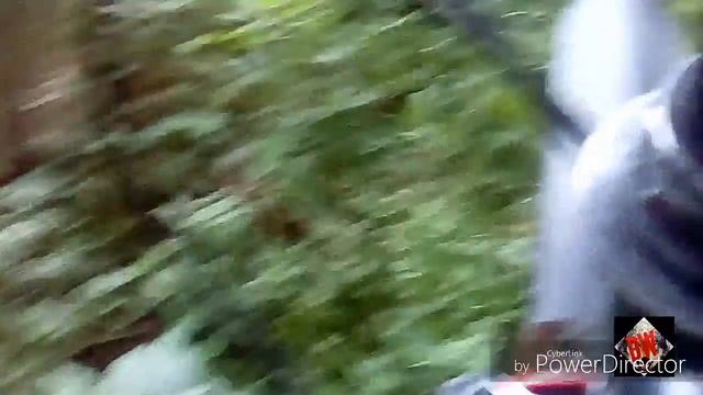 Сломалась сразу два ляса... Это фиаско братан. смотреть онлайн