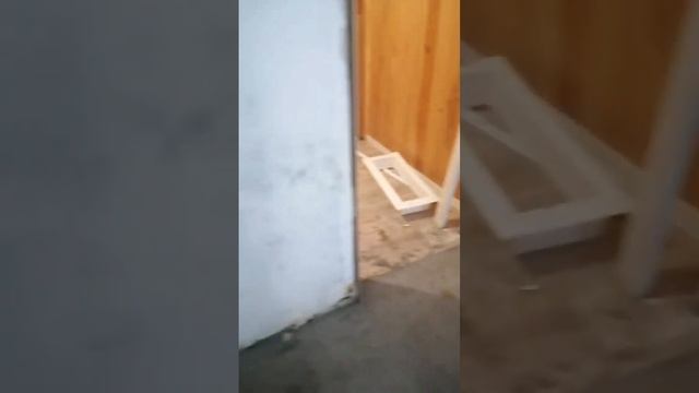 Ремонт дачи в Ягодном, СНТ "Уют". Замена деревянного пола, борьба с плесенью. смотреть онлайн