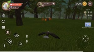 ОРЕЛ в WILDCRAFT в ГНЕЗДЕ ПОЯВИЛОСЬ ЯЙЦО и ОТКРЫВАЕМ ОБНОВЛЕННЫЕ СУНДУКИ