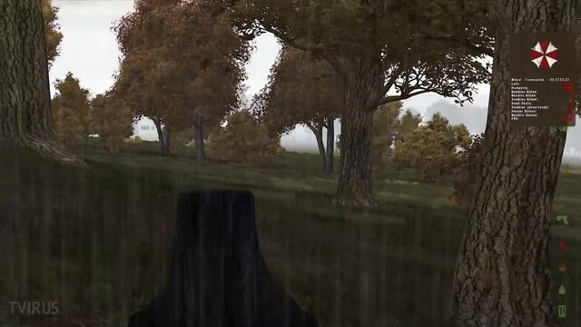 Dayz Epoch # 13 - [Захват объекта "С"] смотреть онлайн