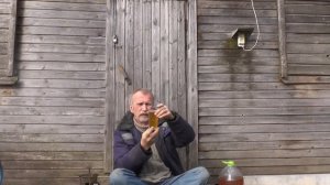 Березовый квас с Чагой. Березовый сок. Как правильно собирать березовый сок.