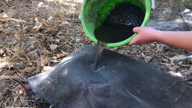 Making Lye Water (Potassium hydroxide KOH) The Easy Way From Hardwood Ashes смотреть онлайн