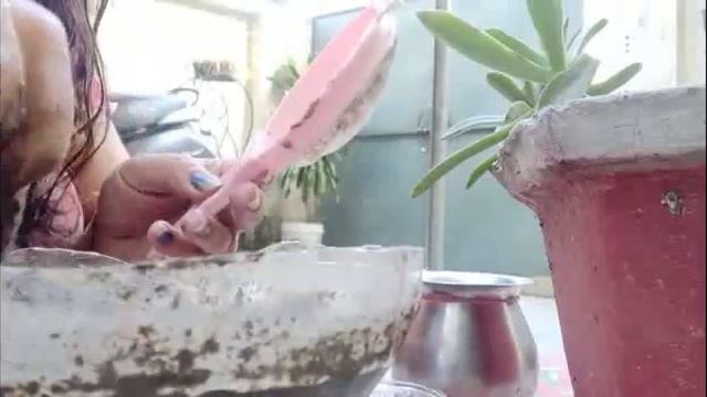 How to grow ajwain plant from seeds #Carom seed #Ammi Majus queen #Bishop's flower seed #ajwain смотреть онлайн