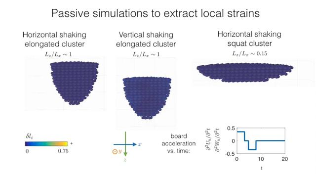 Active simulations смотреть онлайн