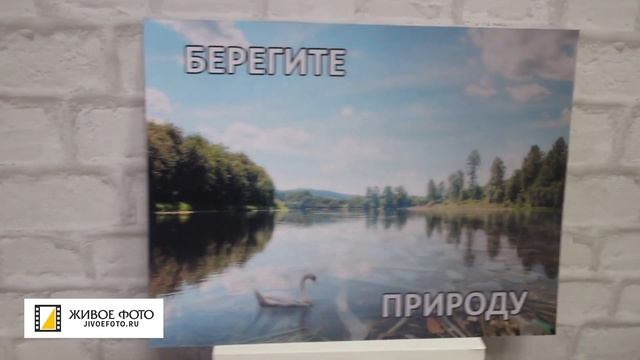 Фотосервис "ЖивоеФото.РФ": плакат "БЕРЕГИТЕ ПРИРОДУ". смотреть онлайн