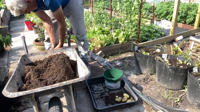 Potato Harvest Reveal – Full Length Video смотреть онлайн