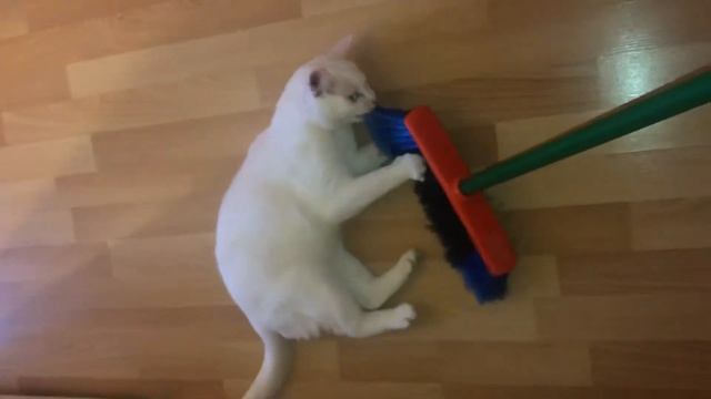 Танец не с саблями, а со швабрами:) смотреть онлайн