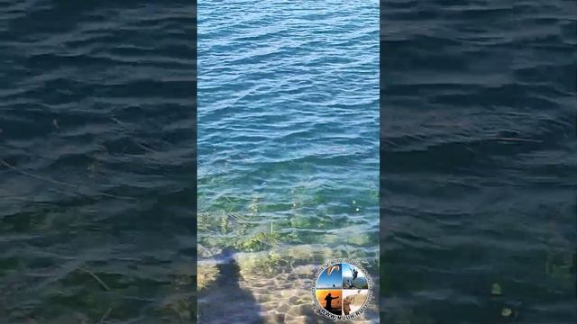 Рыбалка бесплатно МО Нижний аккумулирующий бассейн Загорской ГАЭС Озеро где порыбачить река Кунья смотреть онлайн