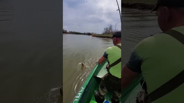 Рыбалка на Волге. 20е апреля 2021г. вобла и прочая рыба. смотреть онлайн
