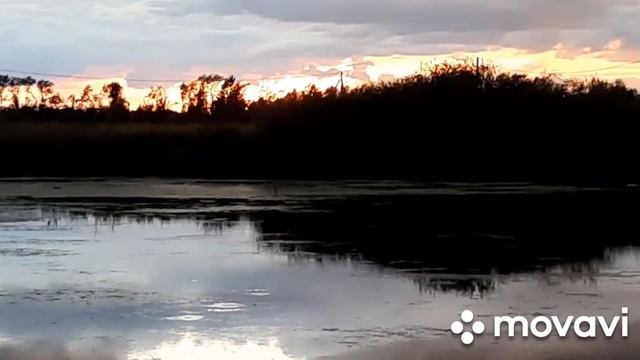 Рыбалка в Республике Мордовии/Новый выпуск/влог смотреть онлайн