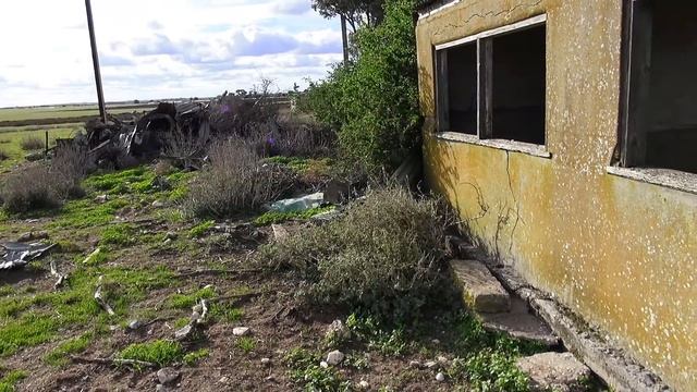 Abandoned- 3 old houses OWNED by BEES! Do not mess with the Bees. смотреть онлайн