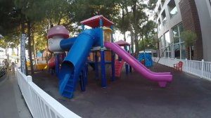 Турция Аиша Папилон | Turkey Papillon Ayscha