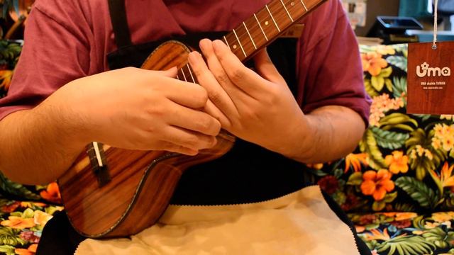 NEW/Uma Ukulele UK-30ST Tenor【お茶の水店】＠ukuleleshoptantan