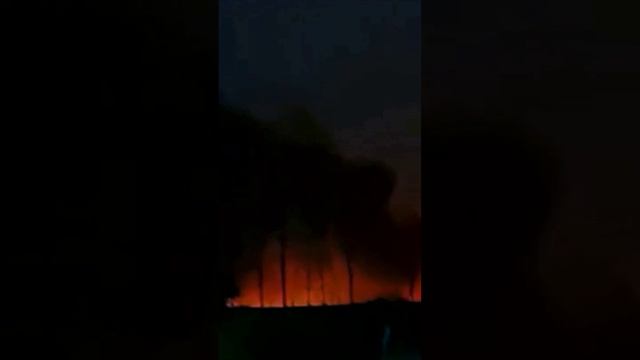 ? Удачное попадание в склад c БК на Запорожском направлении Хохол ночью от досады взвыл. Местная а смотреть онлайн