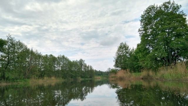 сплав 9-12 мая 2019 Псел смотреть онлайн