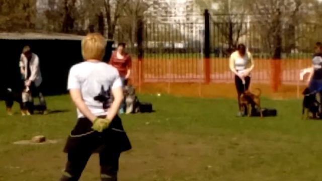 Стэффилд Эдди Мерфи Т1 часть2 смотреть онлайн