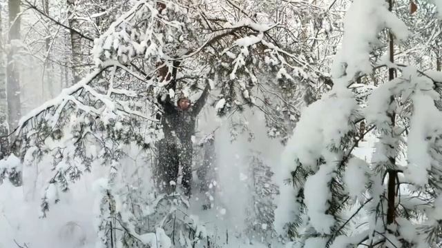 Татьянин день! Песни 60-70х Автор текста:Олев Н. Композитор:Саульский Ю. Исполняет Александр Ройтма смотреть онлайн