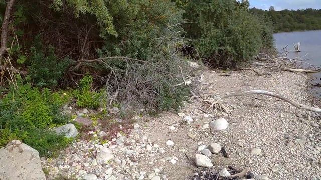 Поселок Синявино, озеро Синявинское. смотреть онлайн