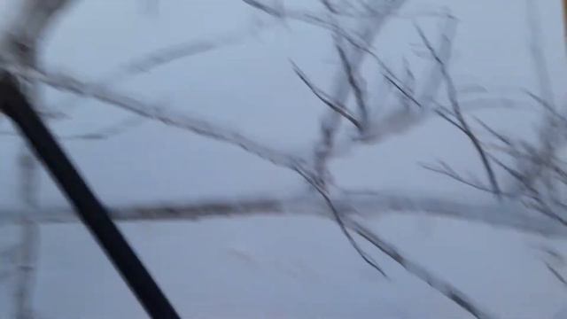 Rabbit hunting. Охота на зайца. смотреть онлайн