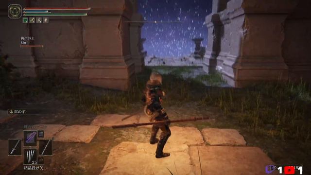 ELDENRING MOD版 Part8 Clever's Moveset Modpack смотреть онлайн