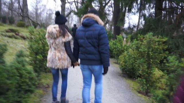 Прогулка по Таллинну, Эстония Парк Кадриорг зимой смотреть онлайн