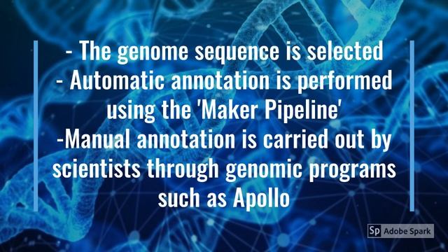 Genome Annotation Video смотреть онлайн