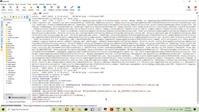 Apply Fusion Middleware Patches 12c смотреть онлайн